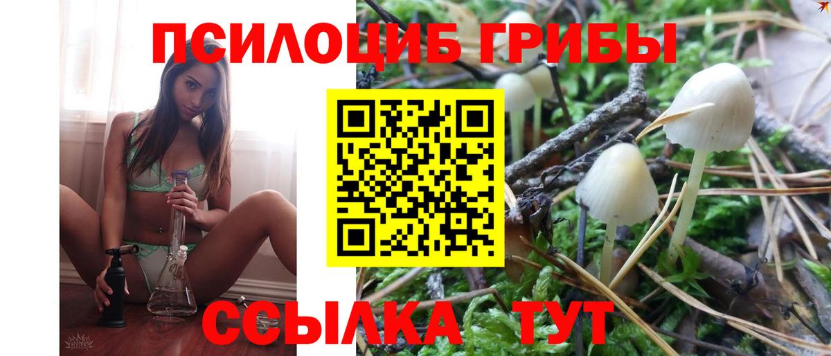 Псилоцибиновые грибы Magic Shrooms Петрозаводск