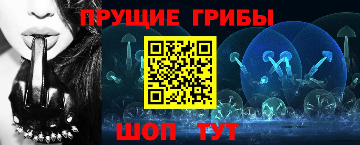закладки  Галлюциногенные грибы Magic Shrooms  Вход с VPN  Петрозаводск 